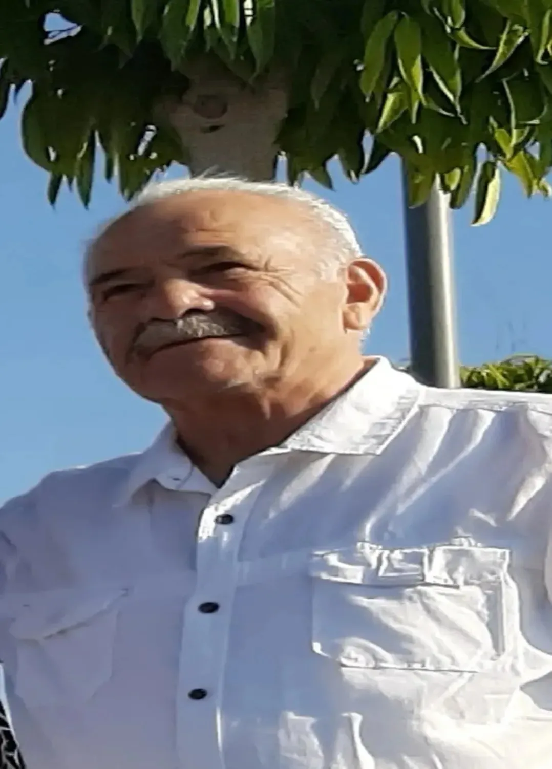 Tahaddin Özdemir